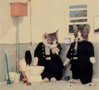 badcats.jpg