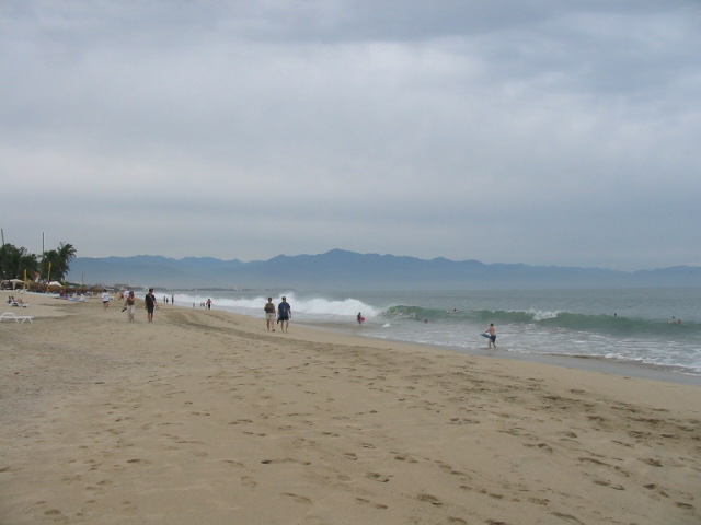 img_1184.jpg